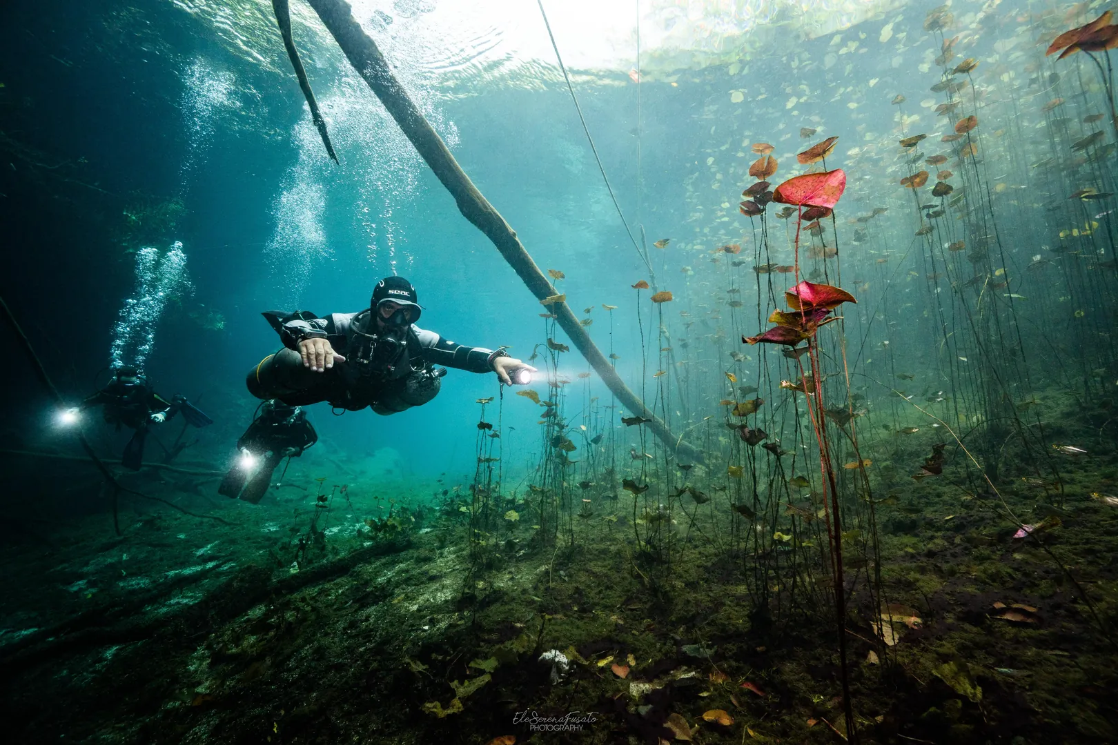 Cenote entrance with light beams