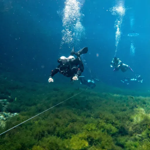 Intro to Tech detail